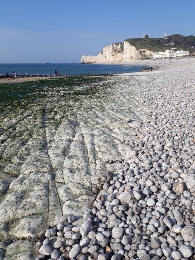 "L'Aiguille Creuse" - Tres Lumineux A 50M De La Mer - 40M2 - 6Max إتريتا المظهر الخارجي الصورة